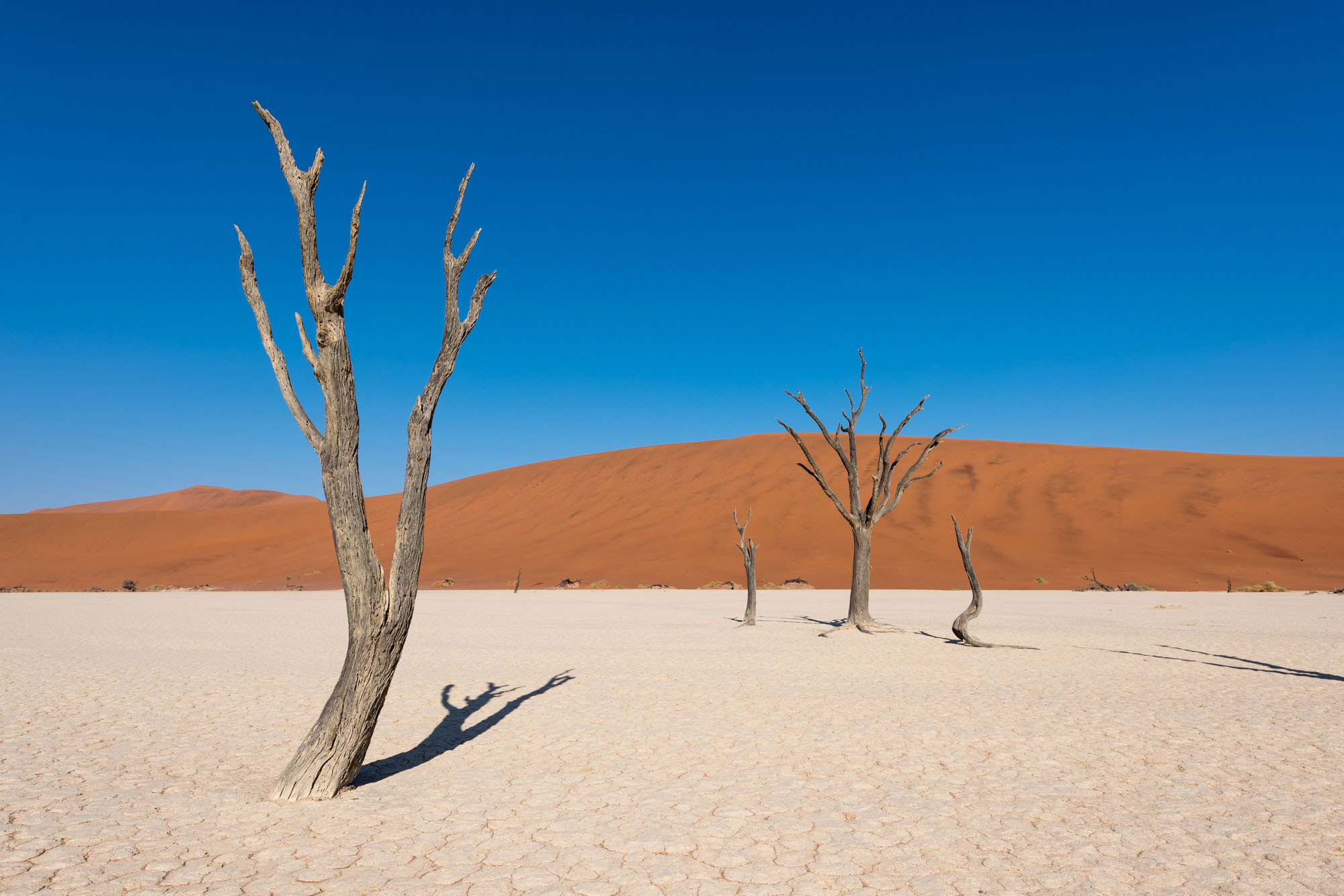 Deadvlei