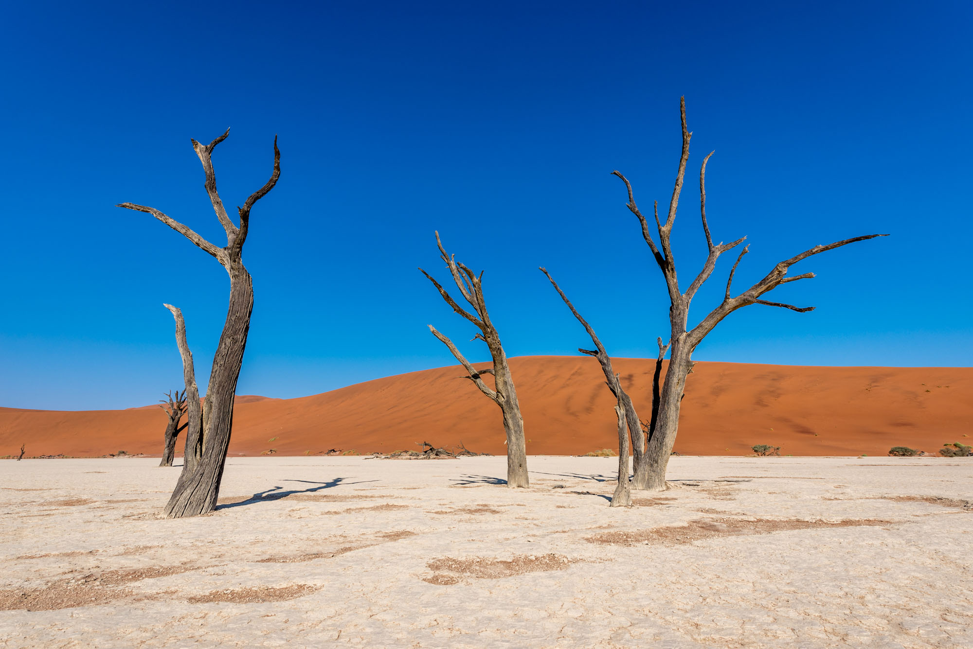 Deadvlei