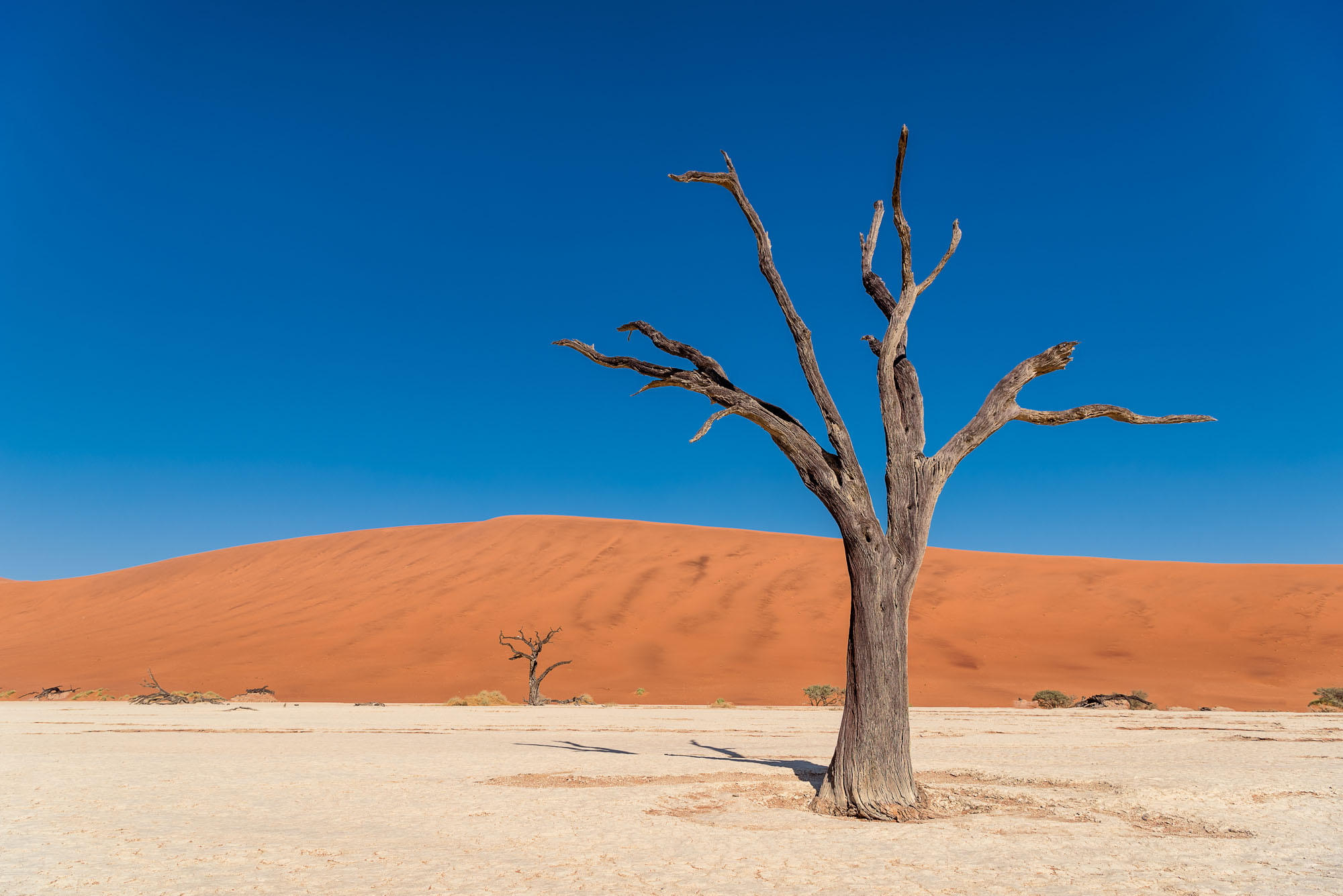 Deadvlei