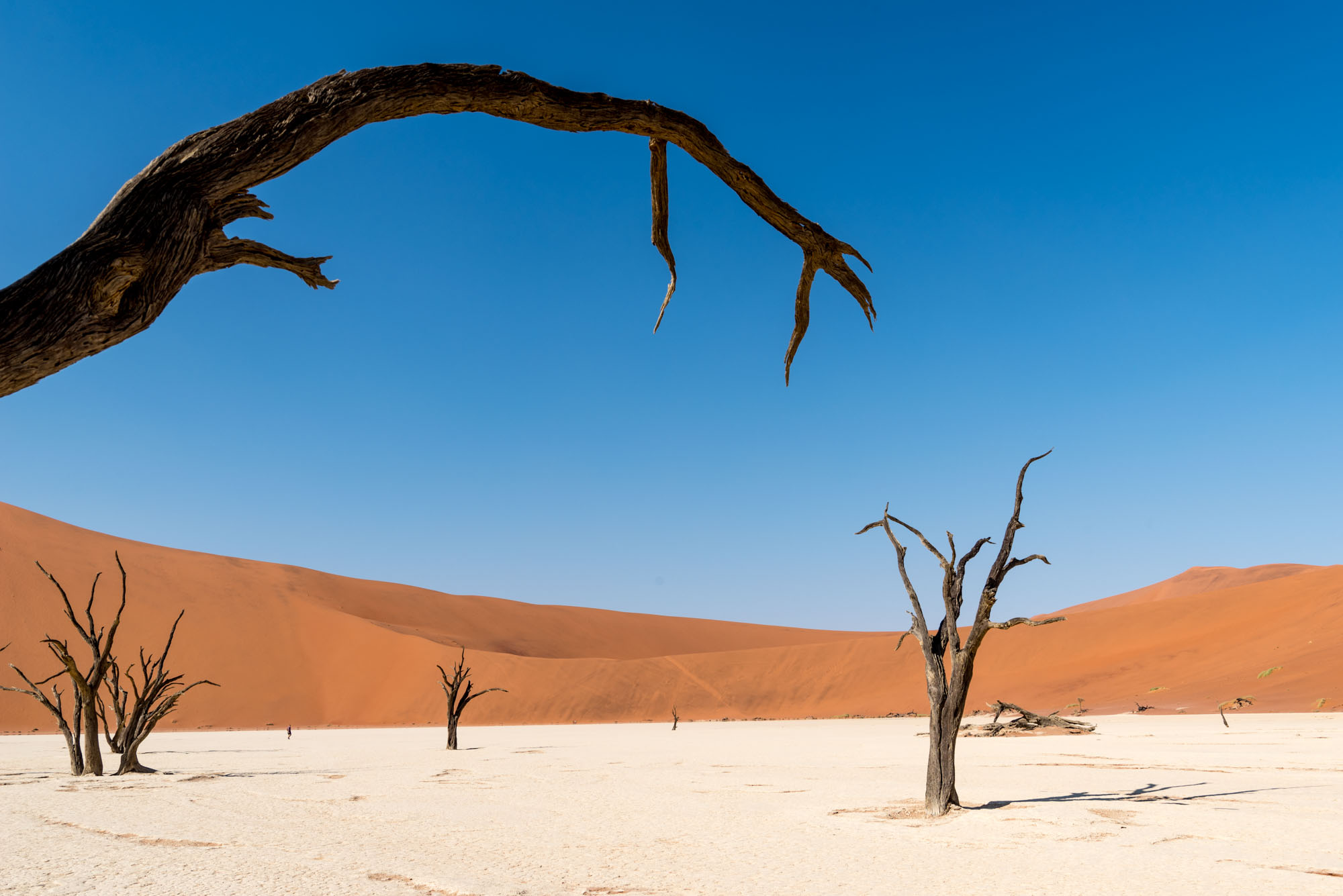Deadvlei