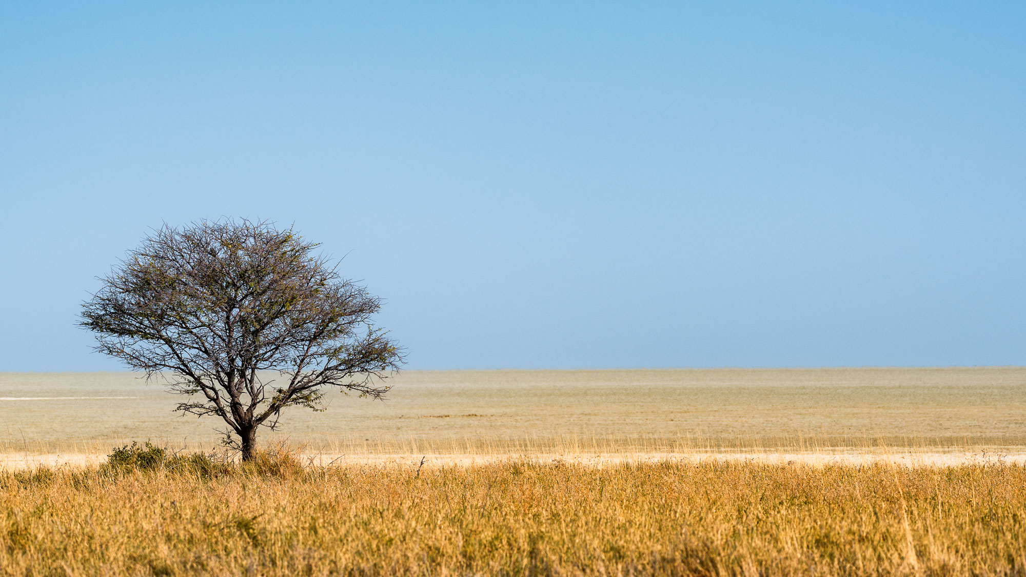 Etosha Park