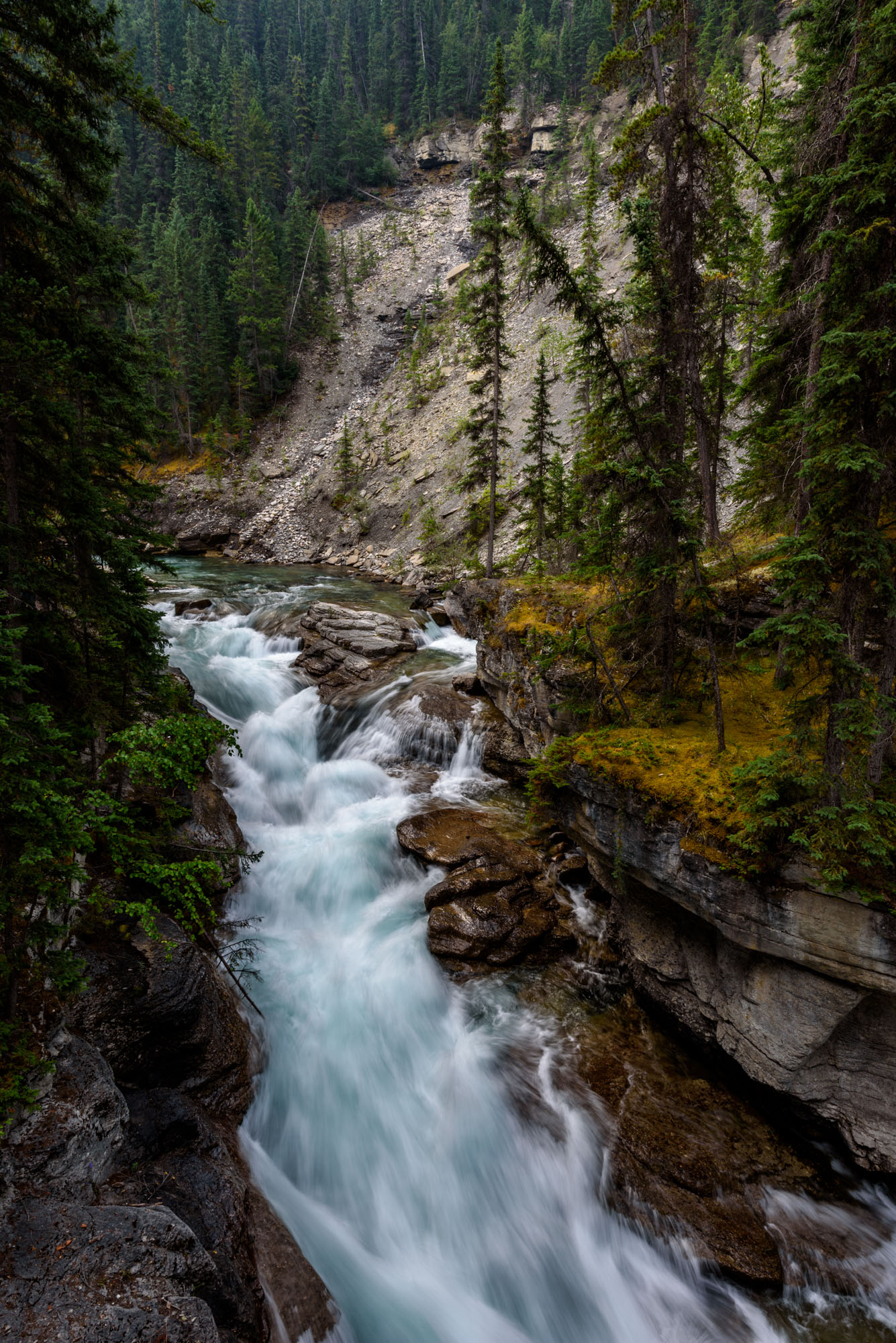 Maligne Canyon