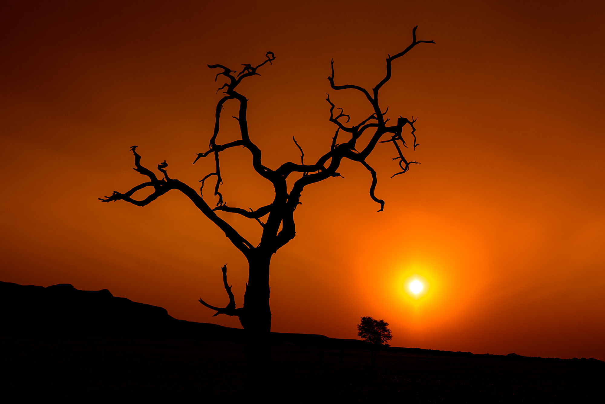Namib Wüste