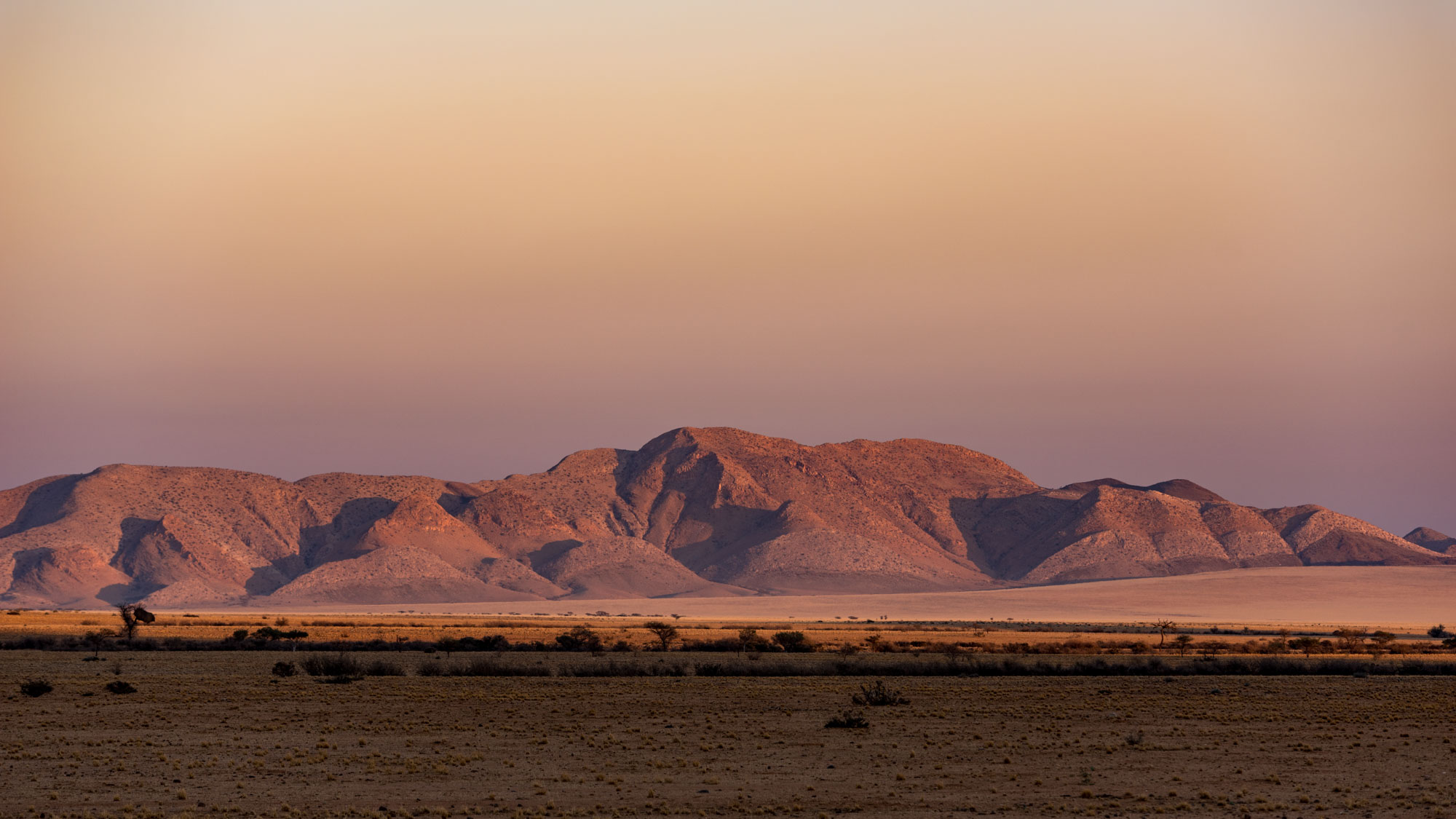 Namib Wüste