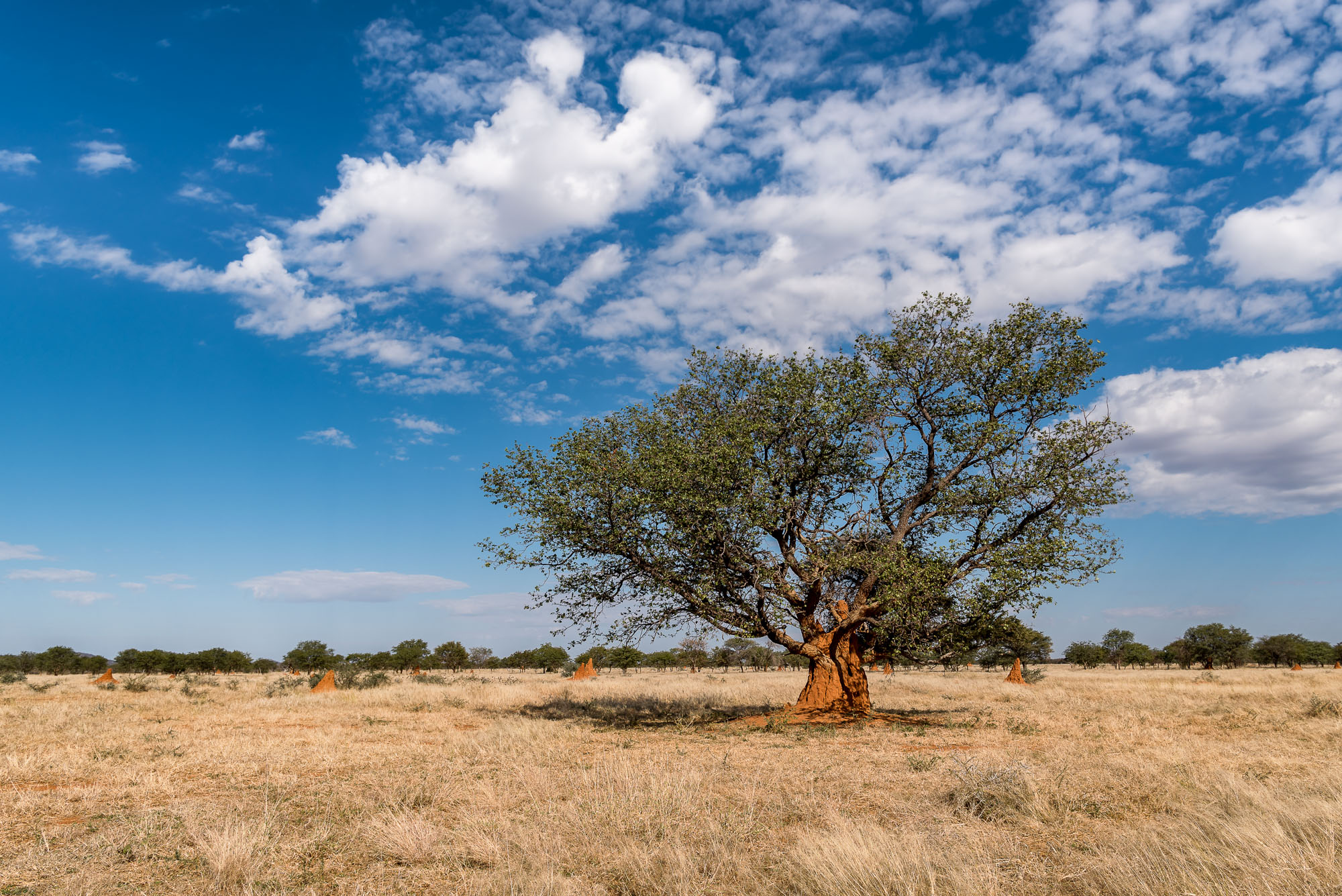 Namibia