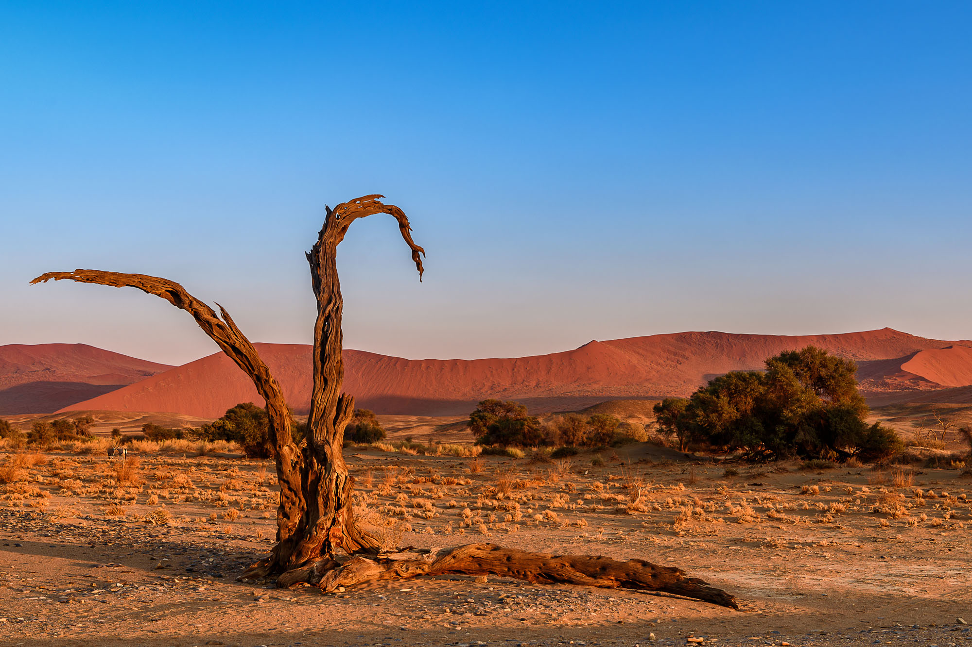 Sossusvlei