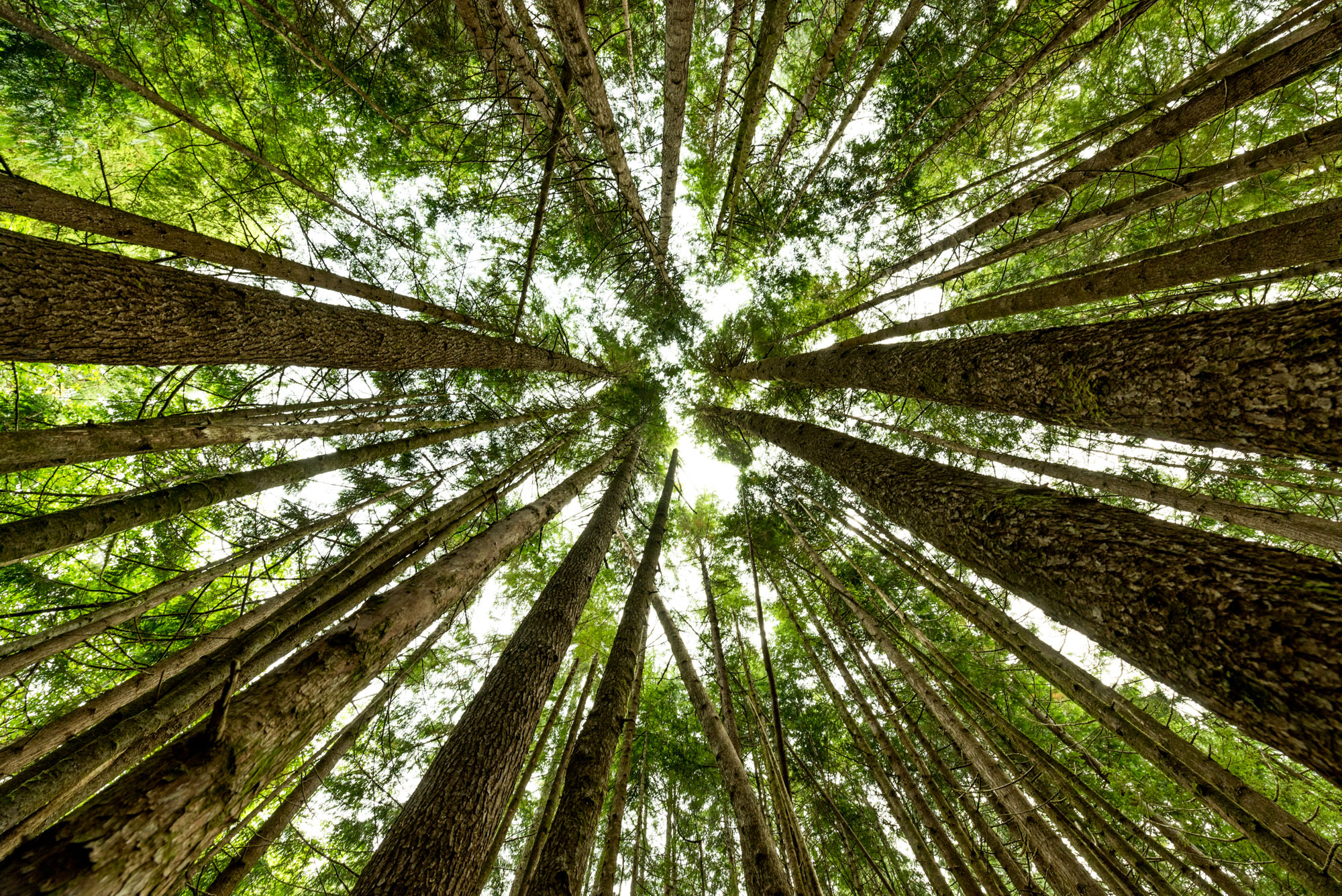 Vancouver Island