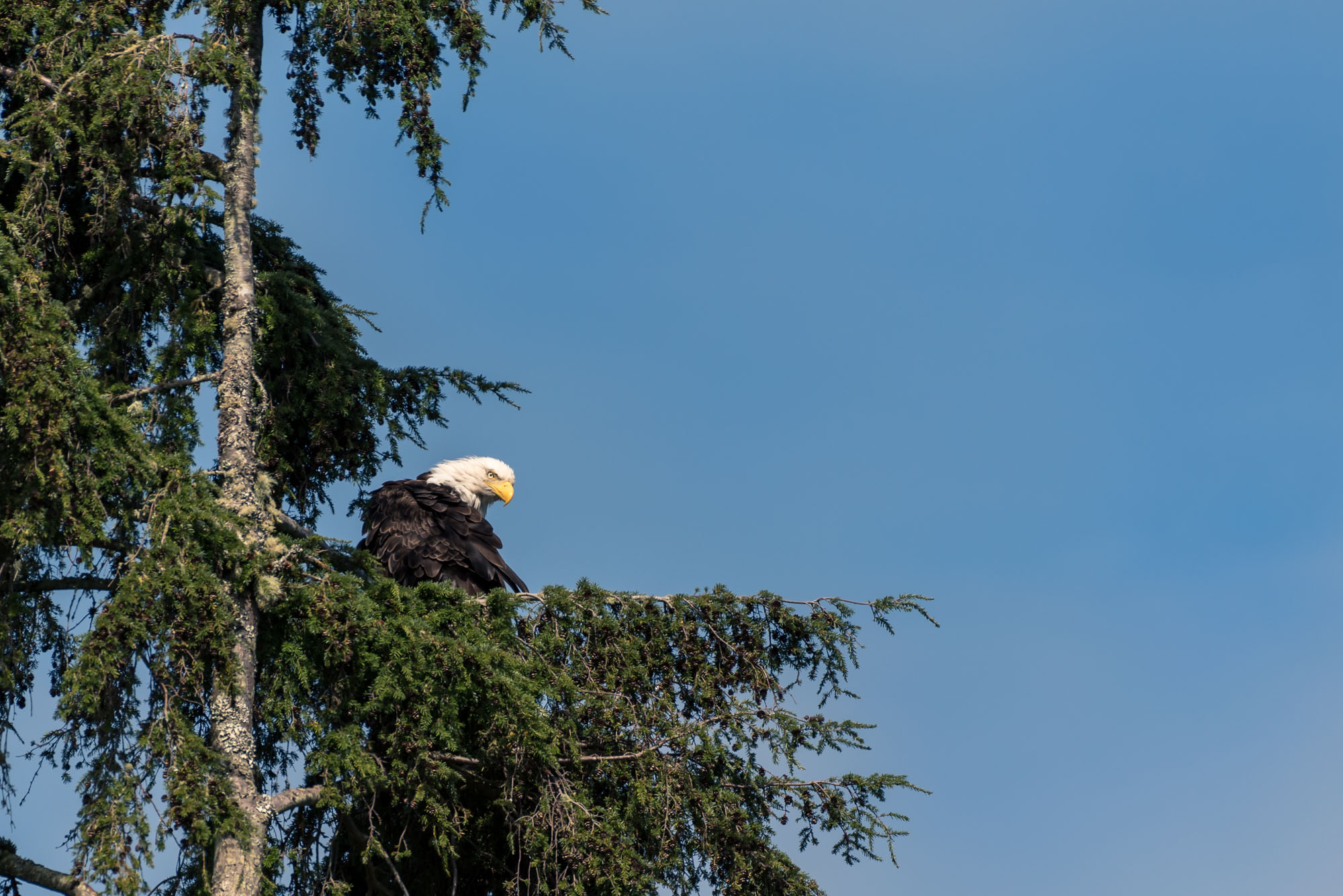 Vancouver Island