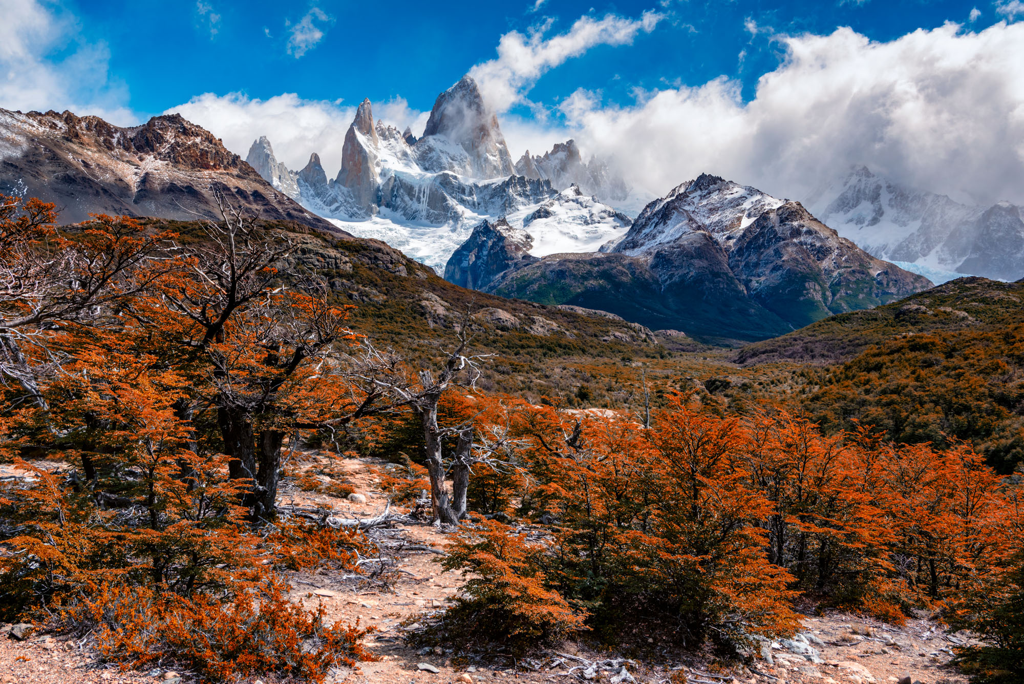 Fitz Roy