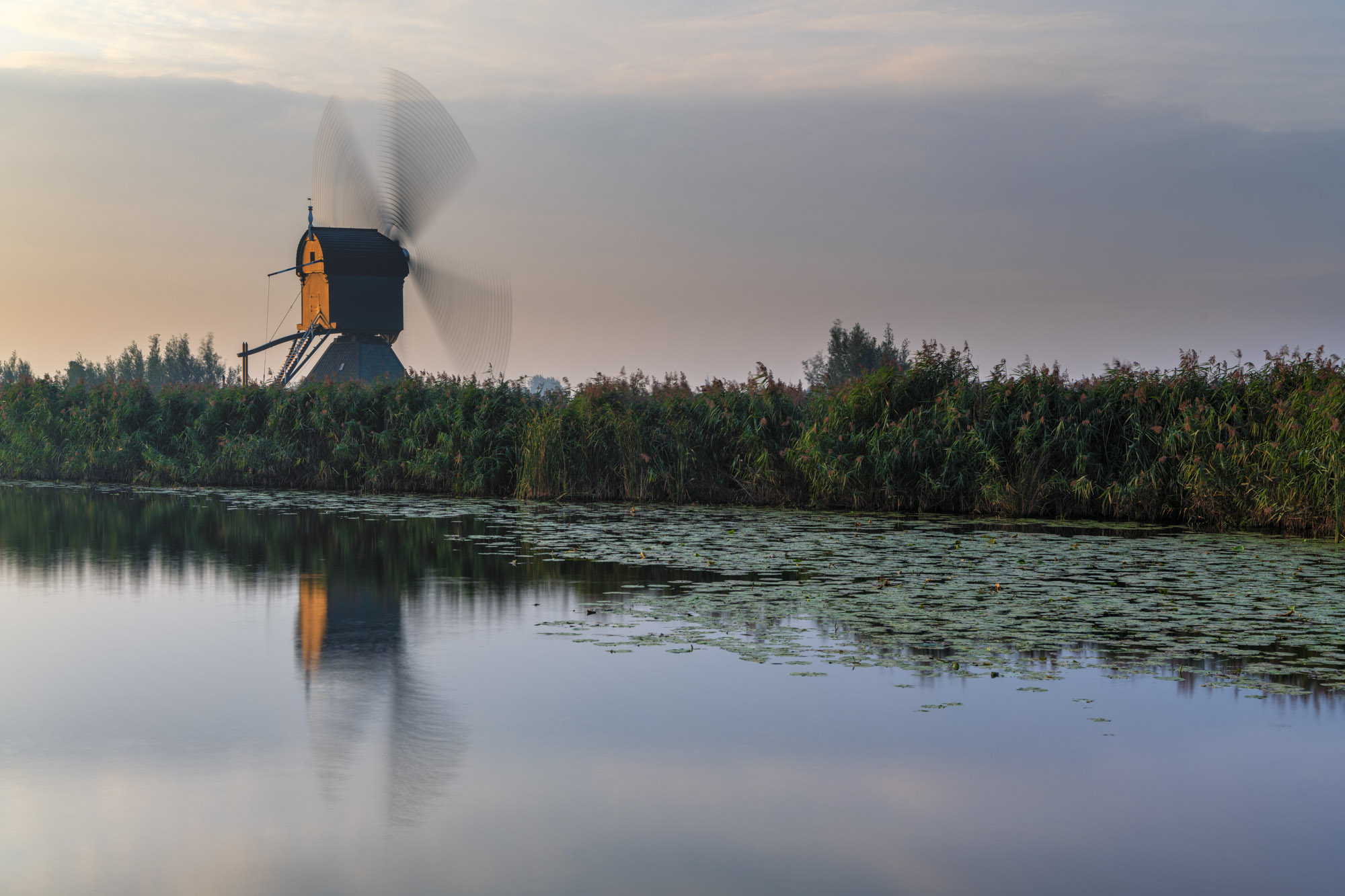 Kinderdijk