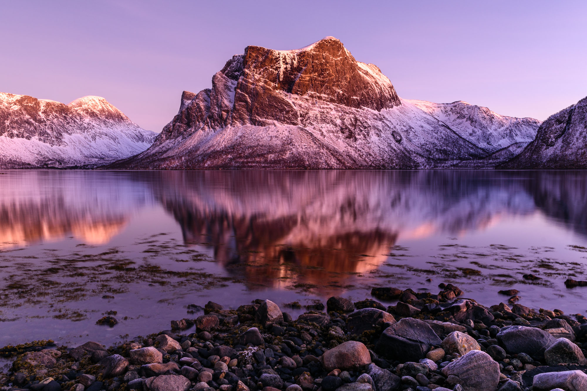 Senja