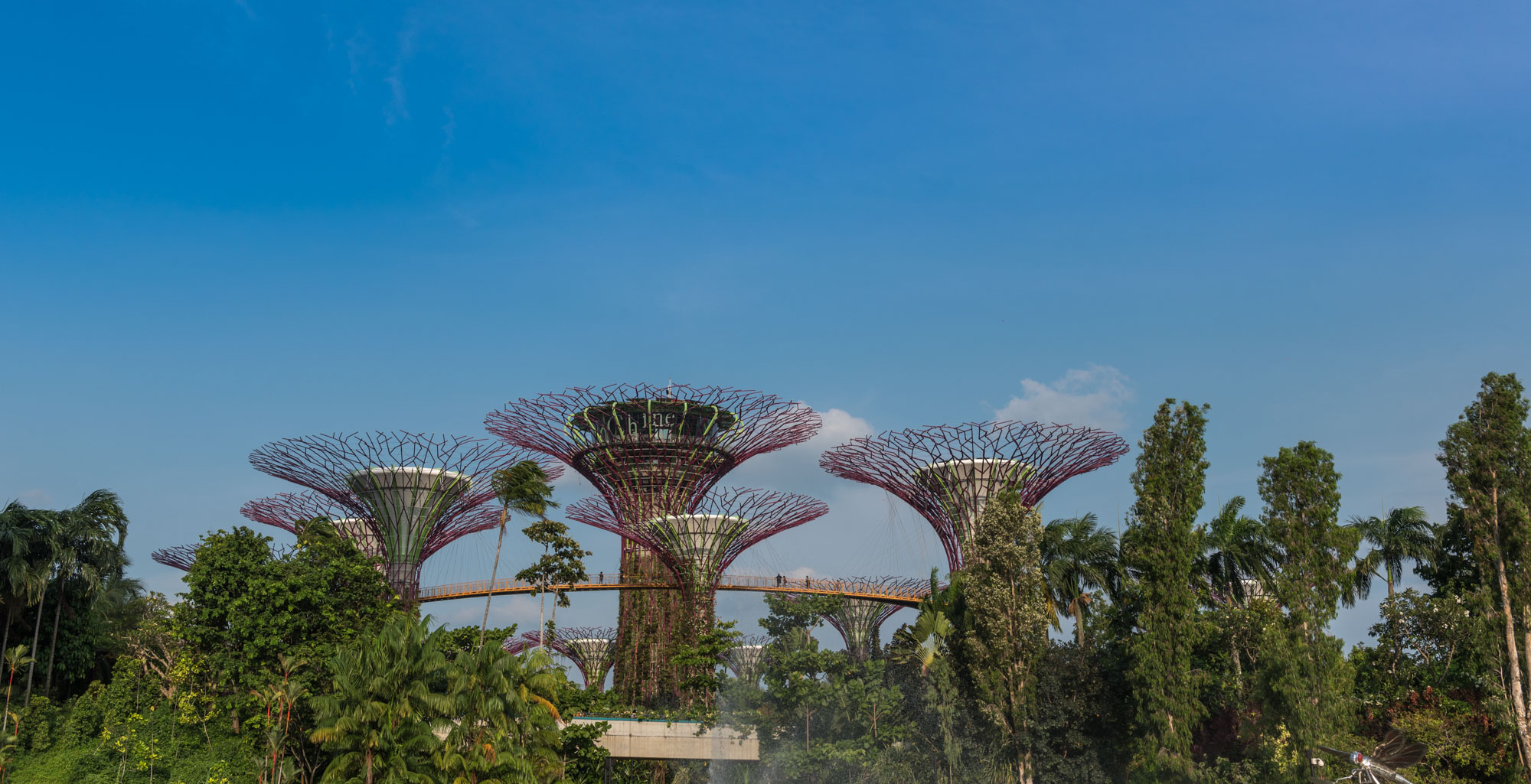 Singapur