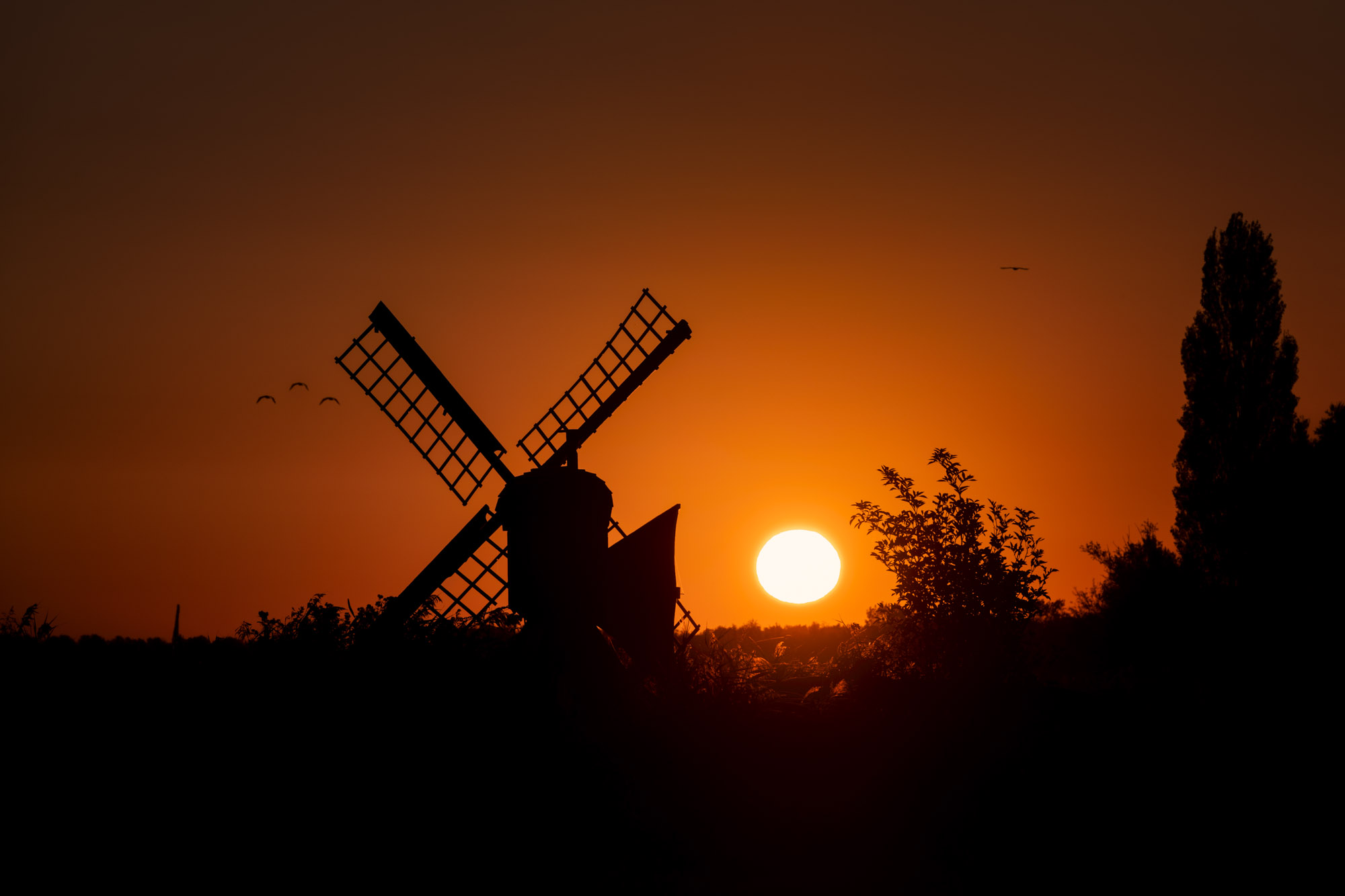 Zaanse Schans