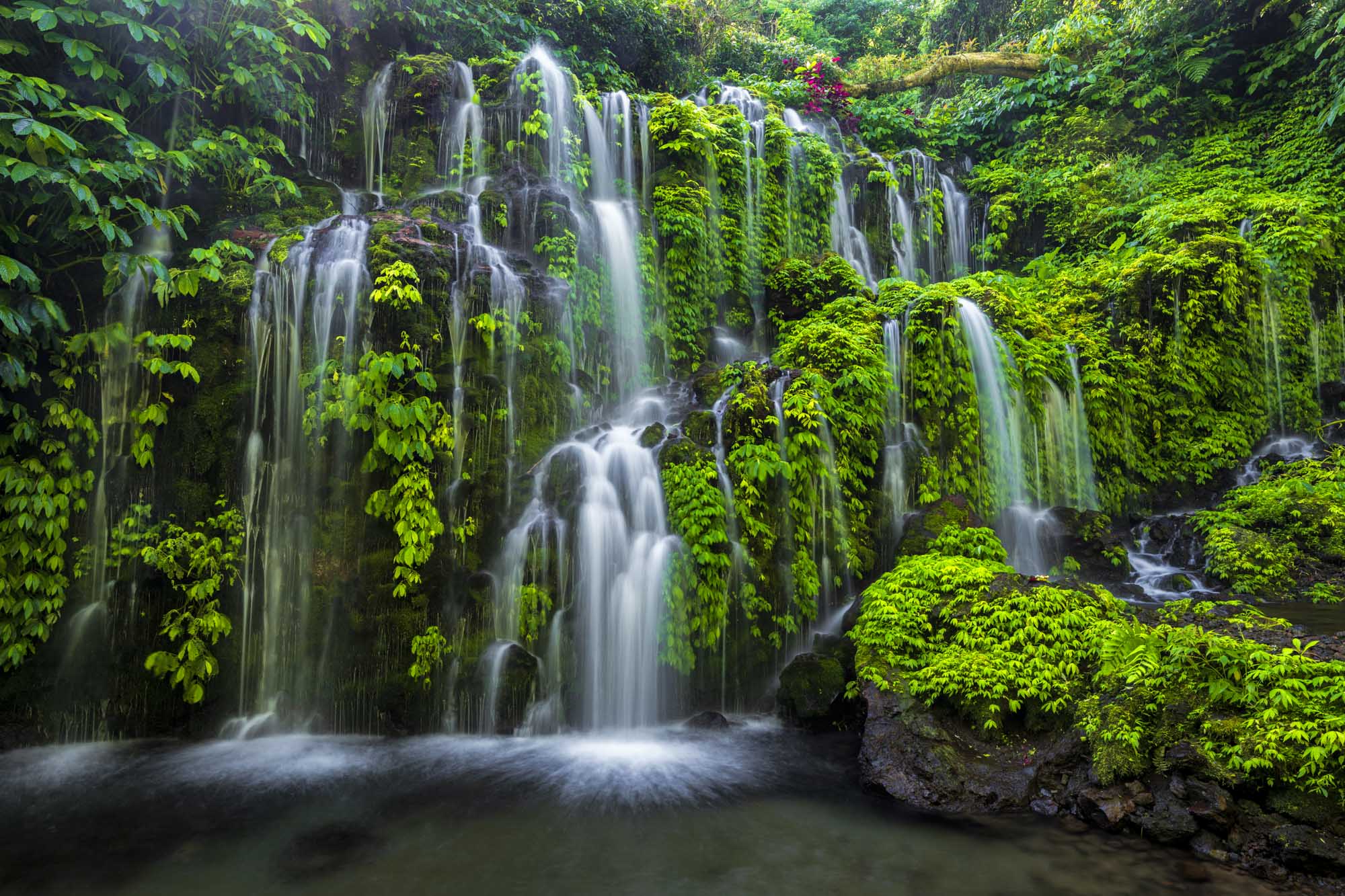 Bali