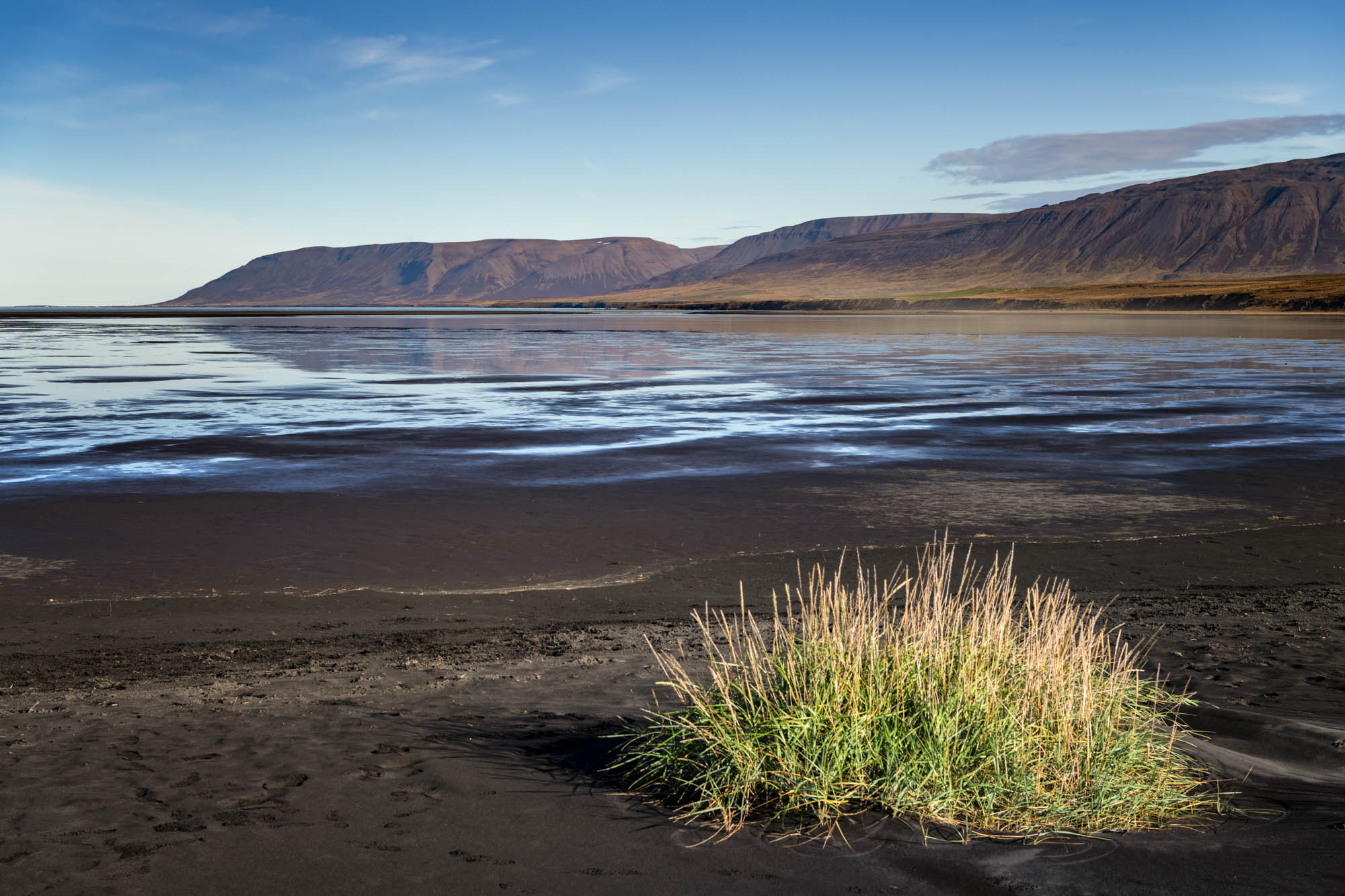 Borgarsandur Beach