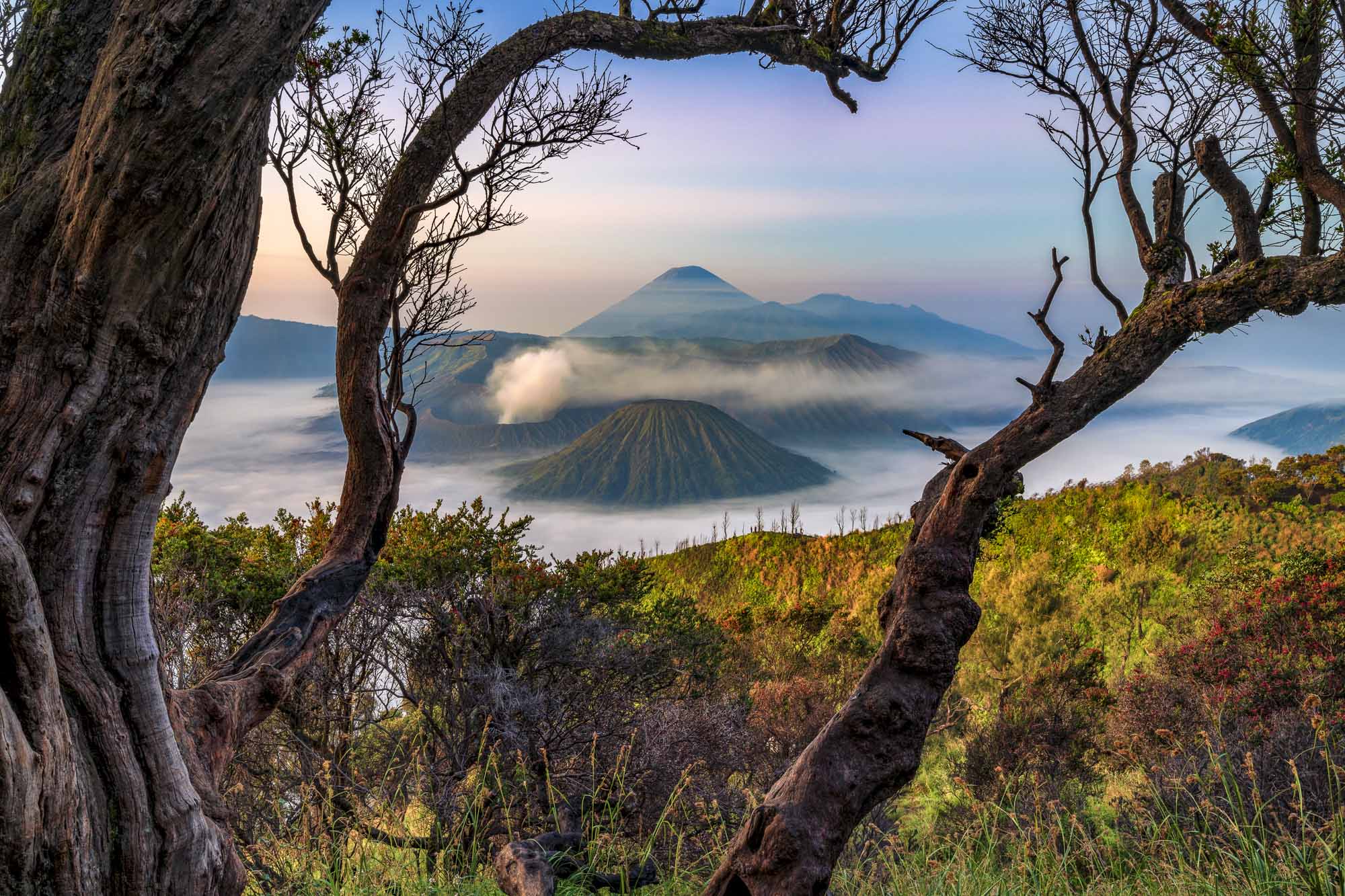 Bromo Tengger Semeru