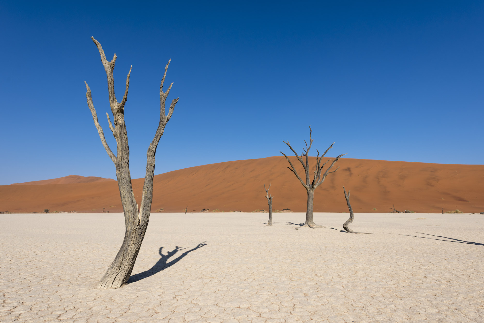 Deadvlei