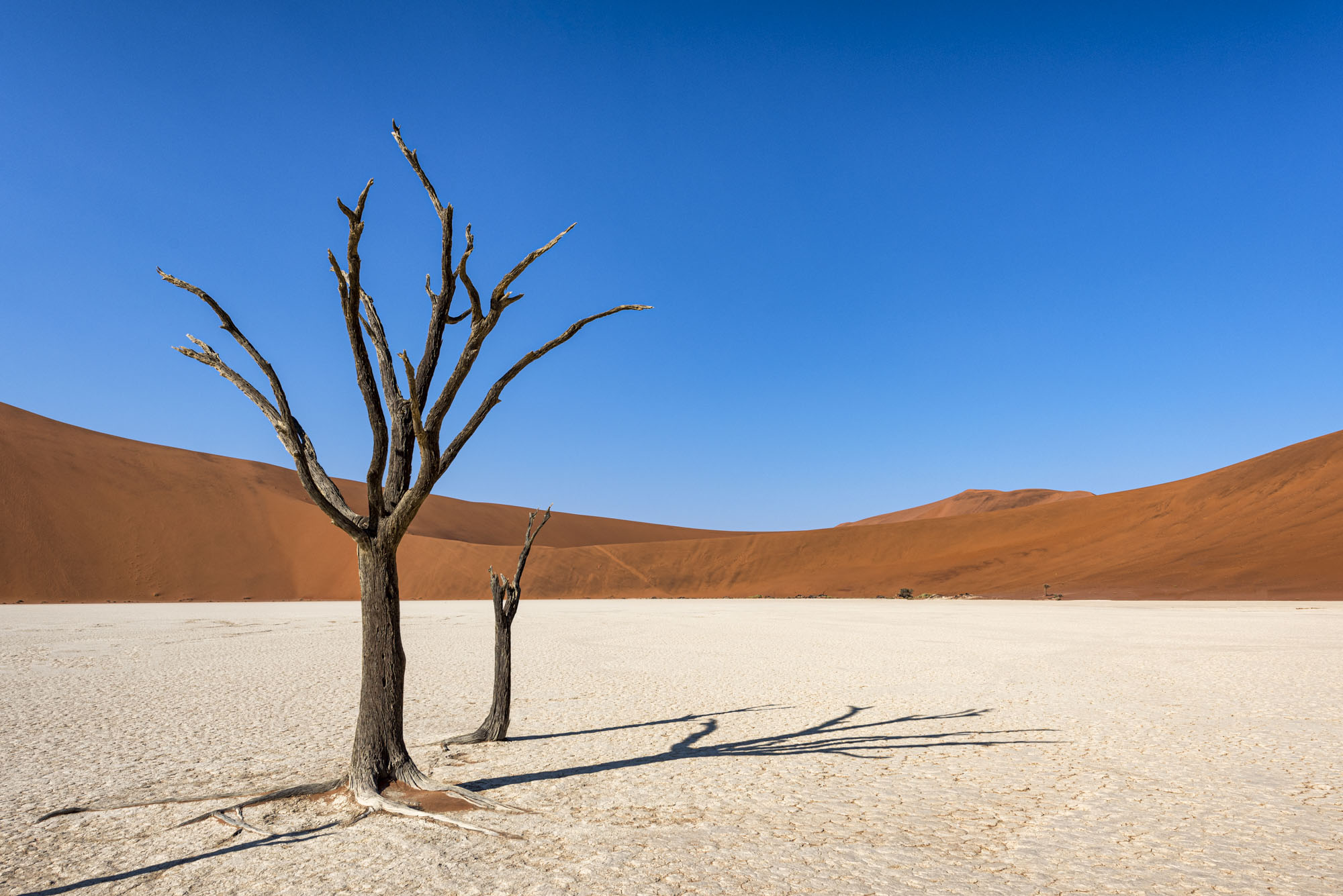 Deadvlei