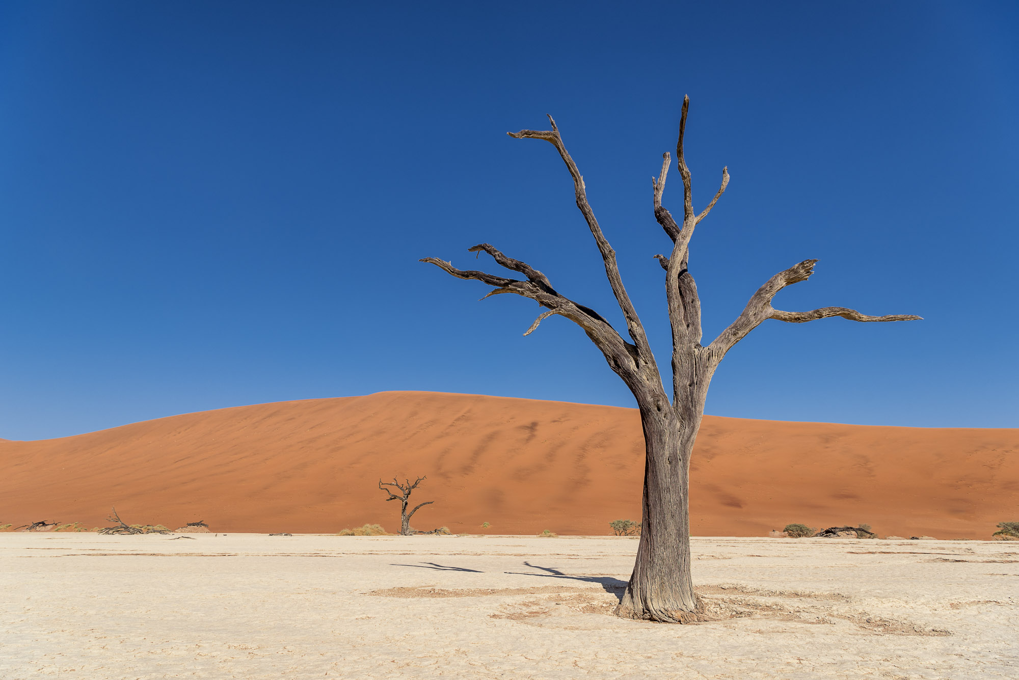 Deadvlei
