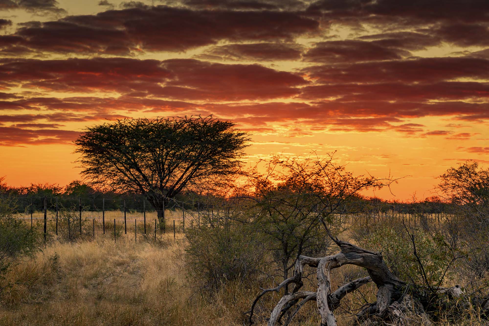Etosha National Park