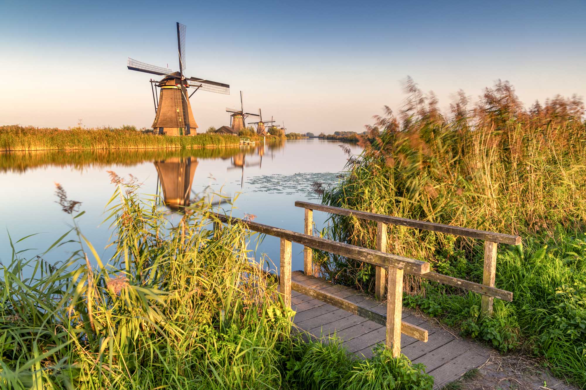 Kinderdijk