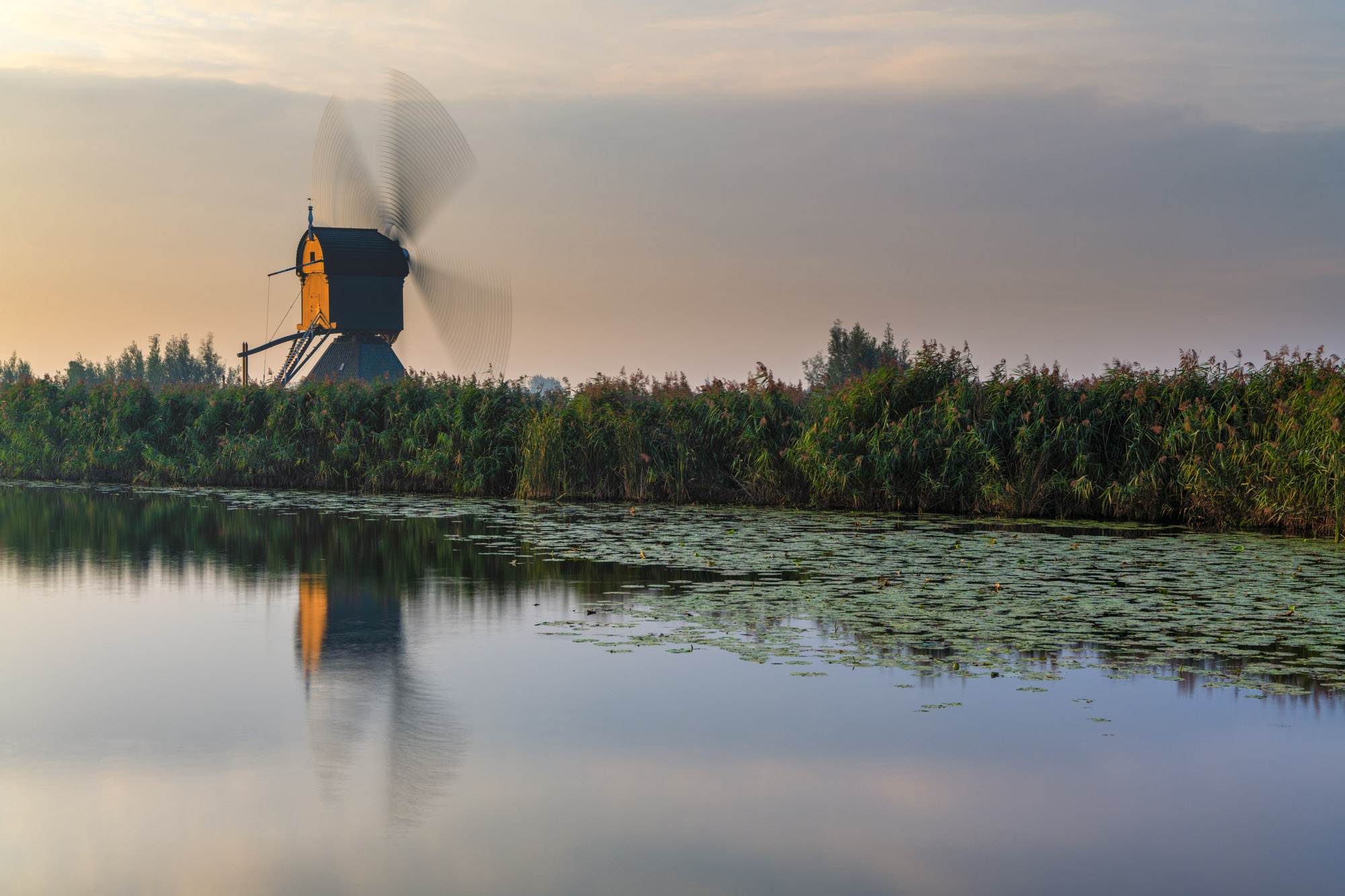Kinderdijk