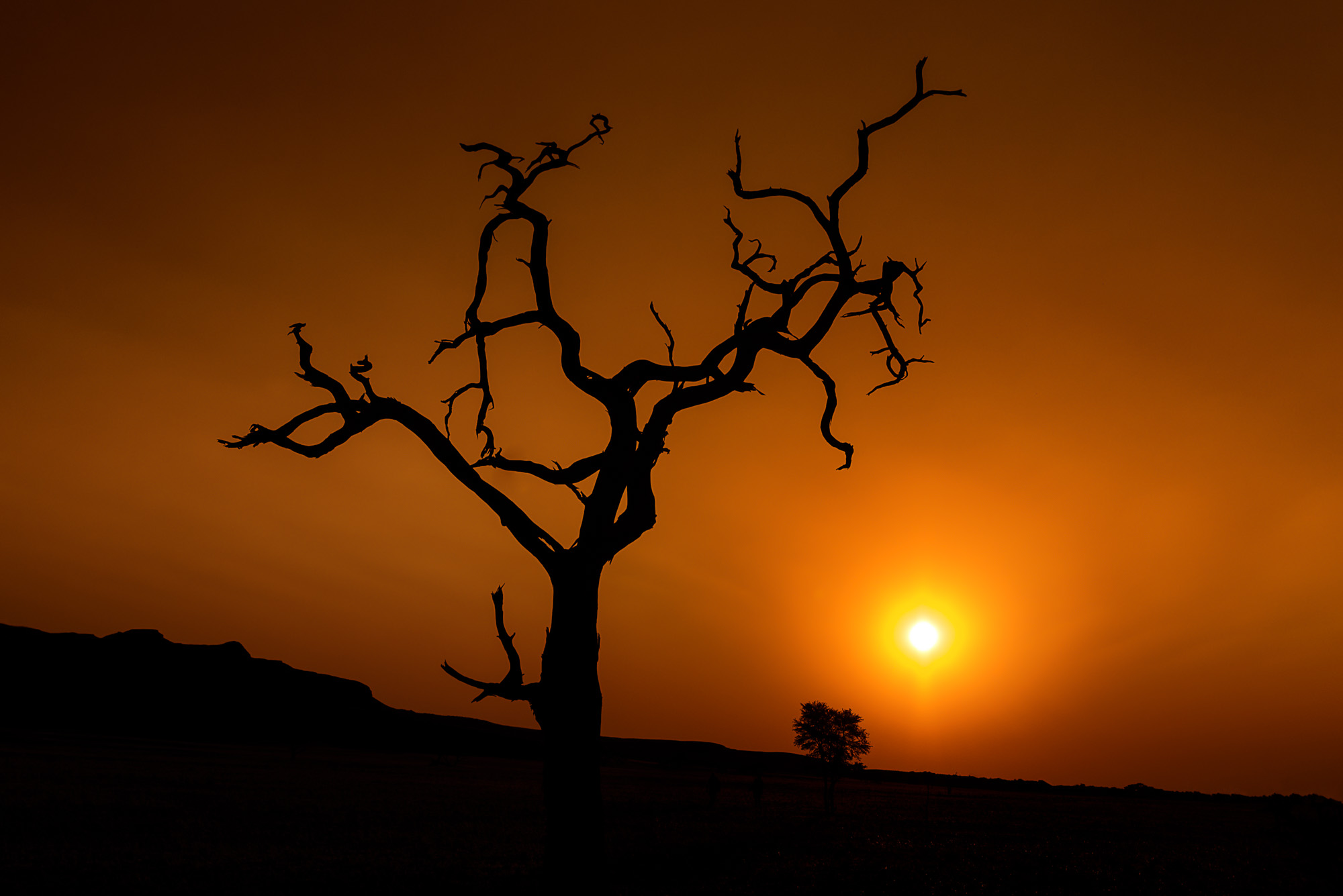 Namib Lodge