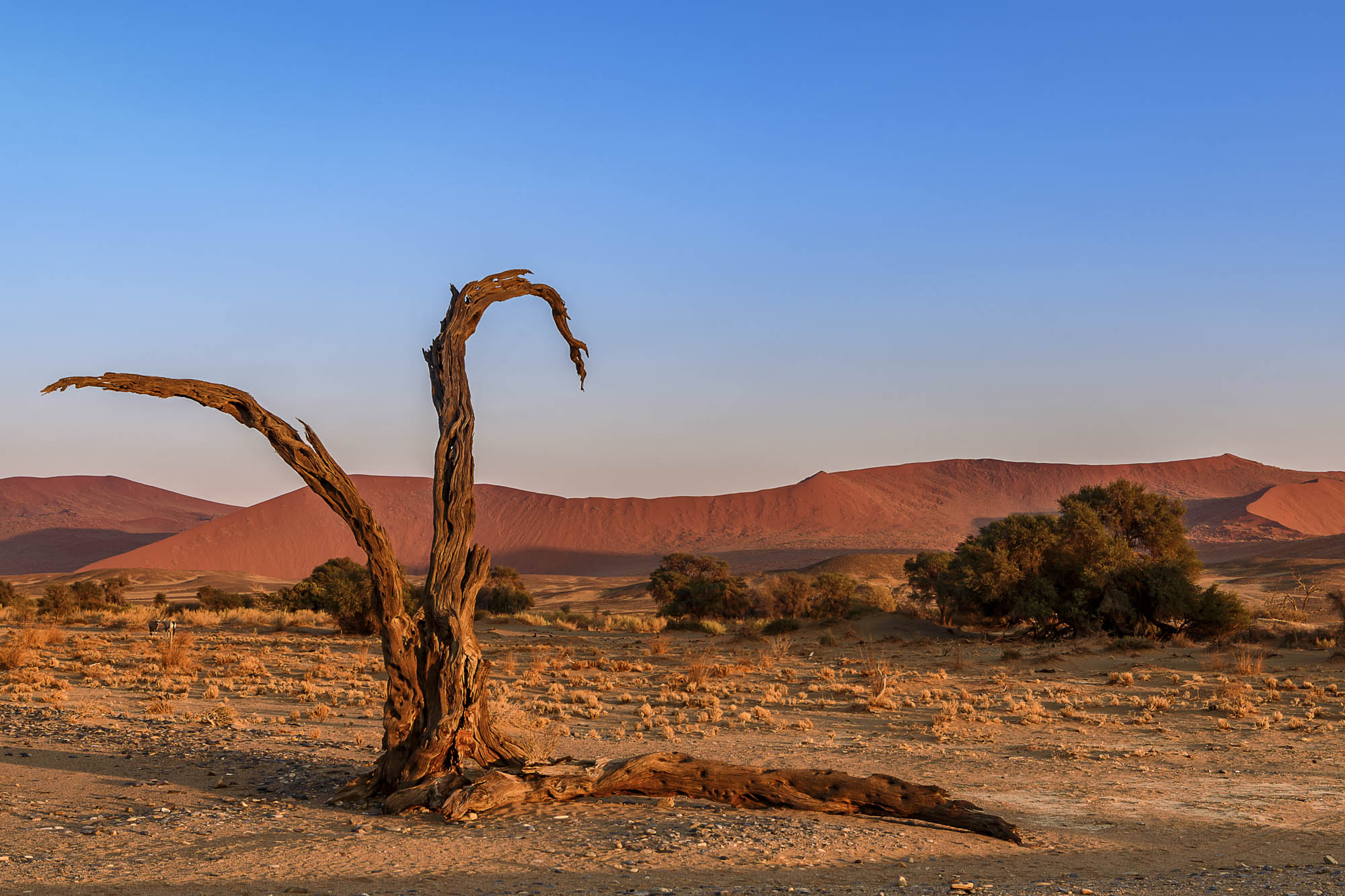Sossusvlei