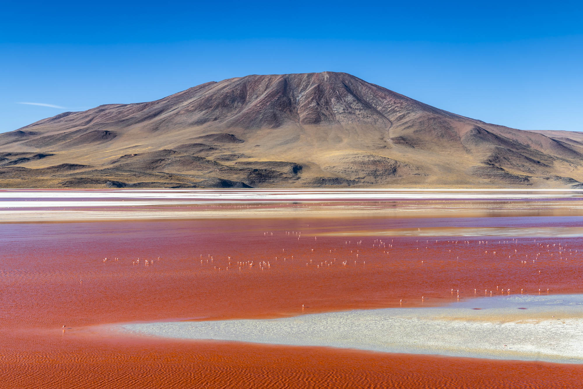 Laguna Colorada