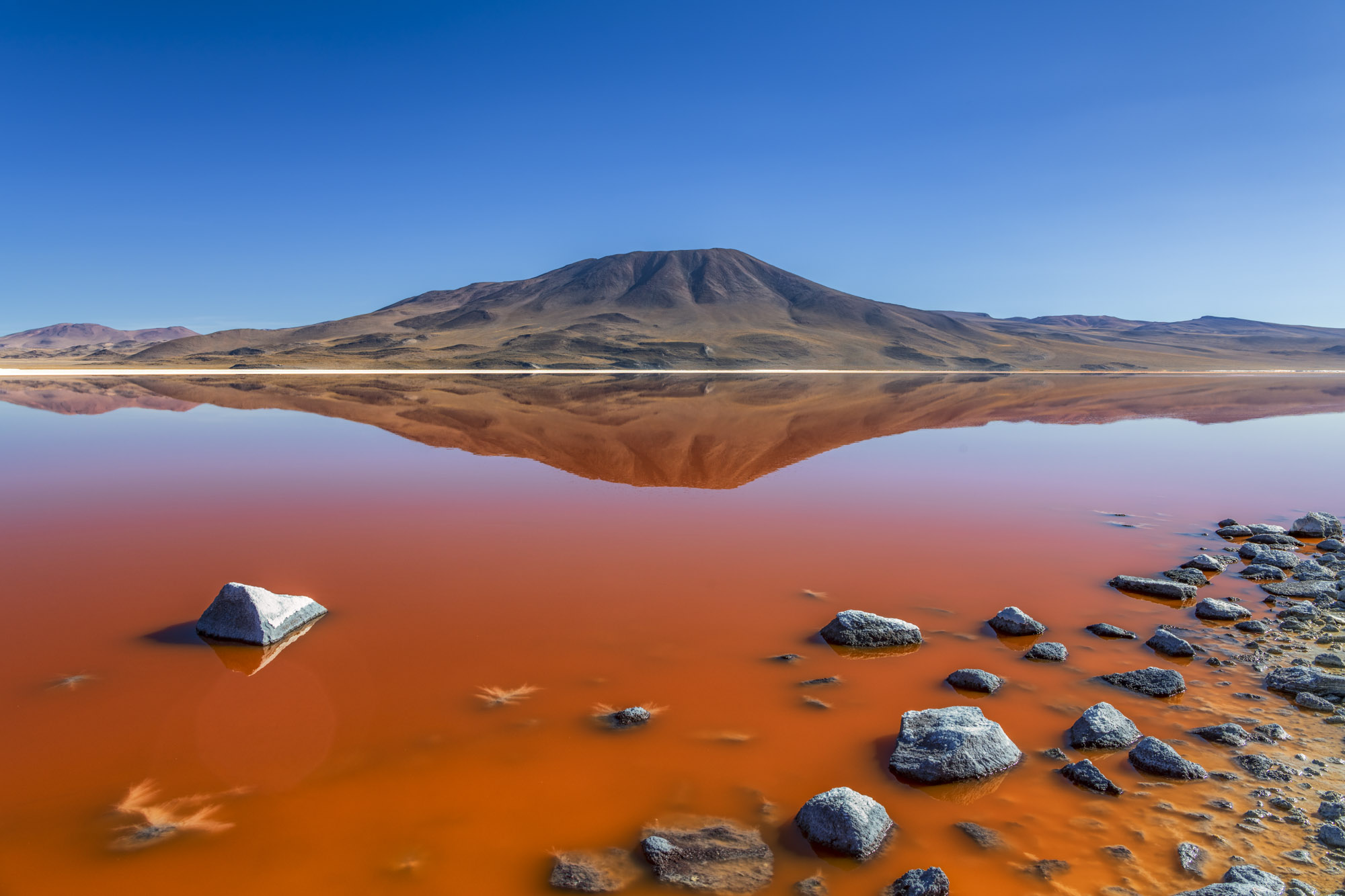Laguna Colorada