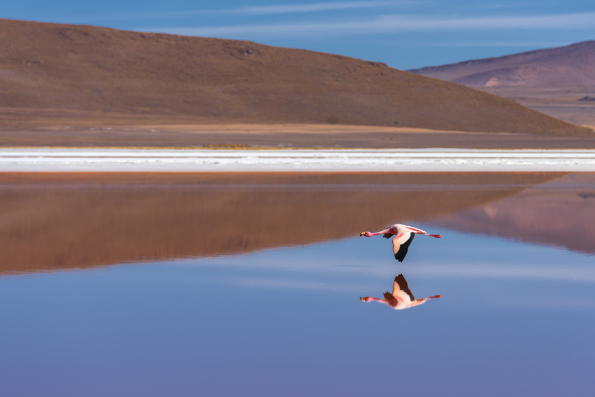 Laguna Colorada