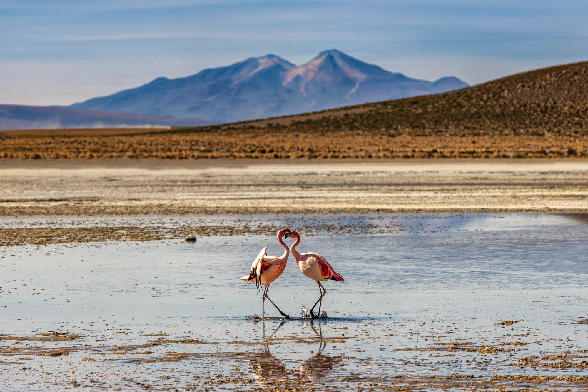 Laguna Vinto