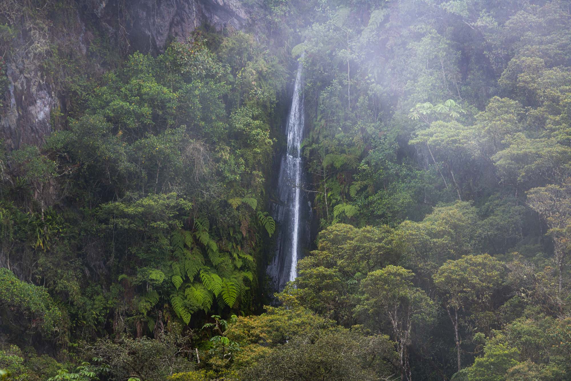 Manu National Park