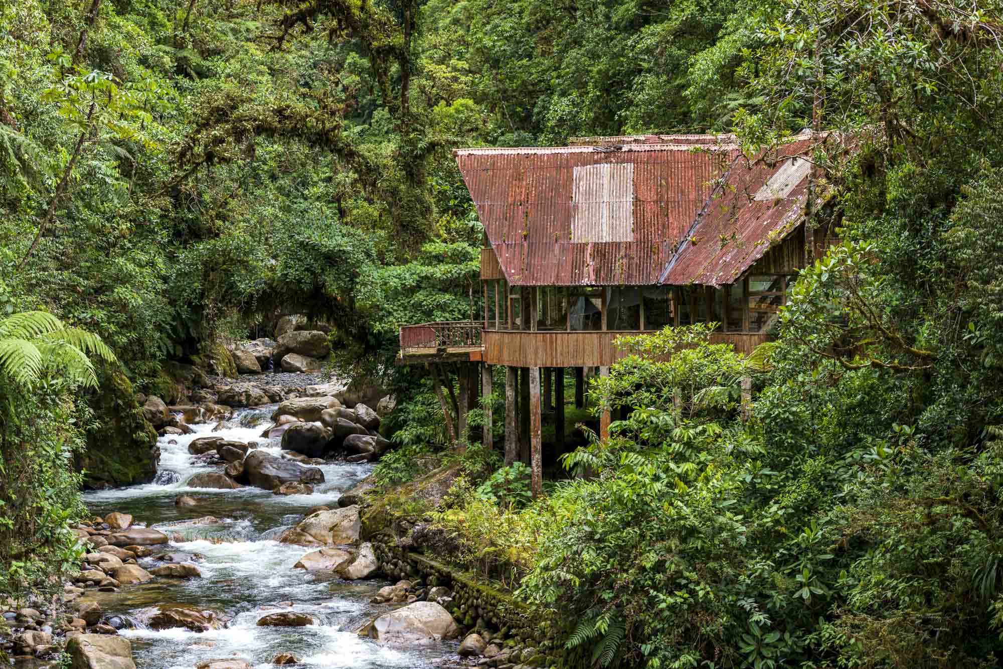Manu National Park