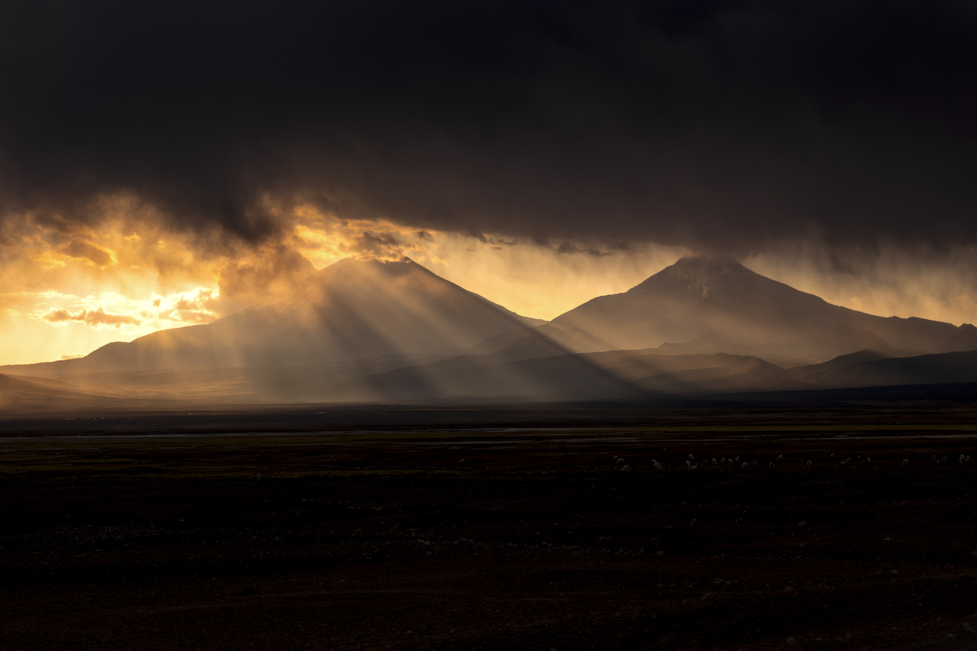 Sajama National Park