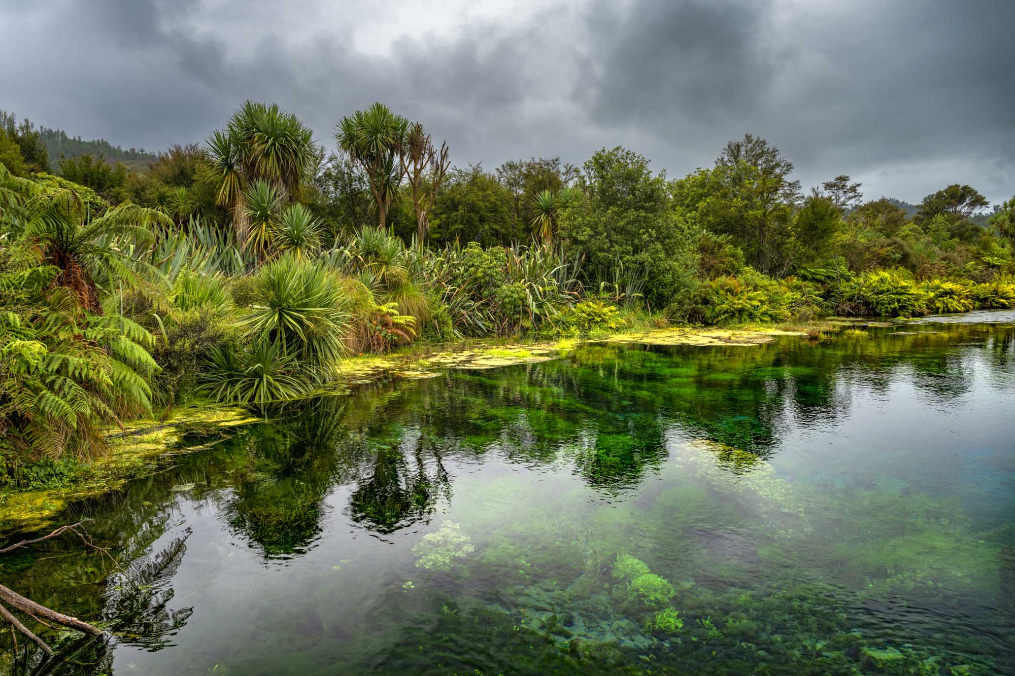 Waikoropupu Springs